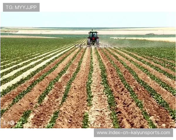 土耳其冲击第一目标明确:战略布局背后的深度思考 土耳其冲击第一目标明确:战略布局背后的深度思考