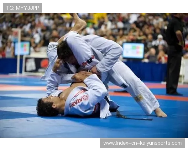 UFC地面技术演进：摔跤与柔术融合的新打法