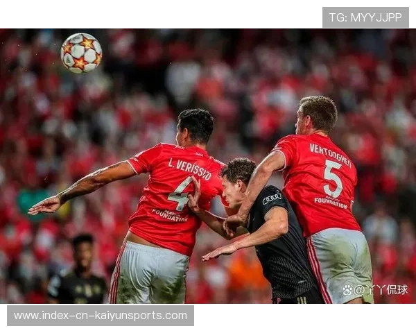 本菲卡携手意甲多面手，打造全新战术核心