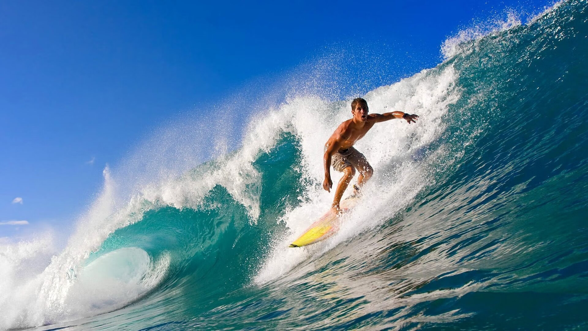 全国游泳冬季锦标赛女子4×100米混合泳接力 上海队强势触壁再破赛会纪录