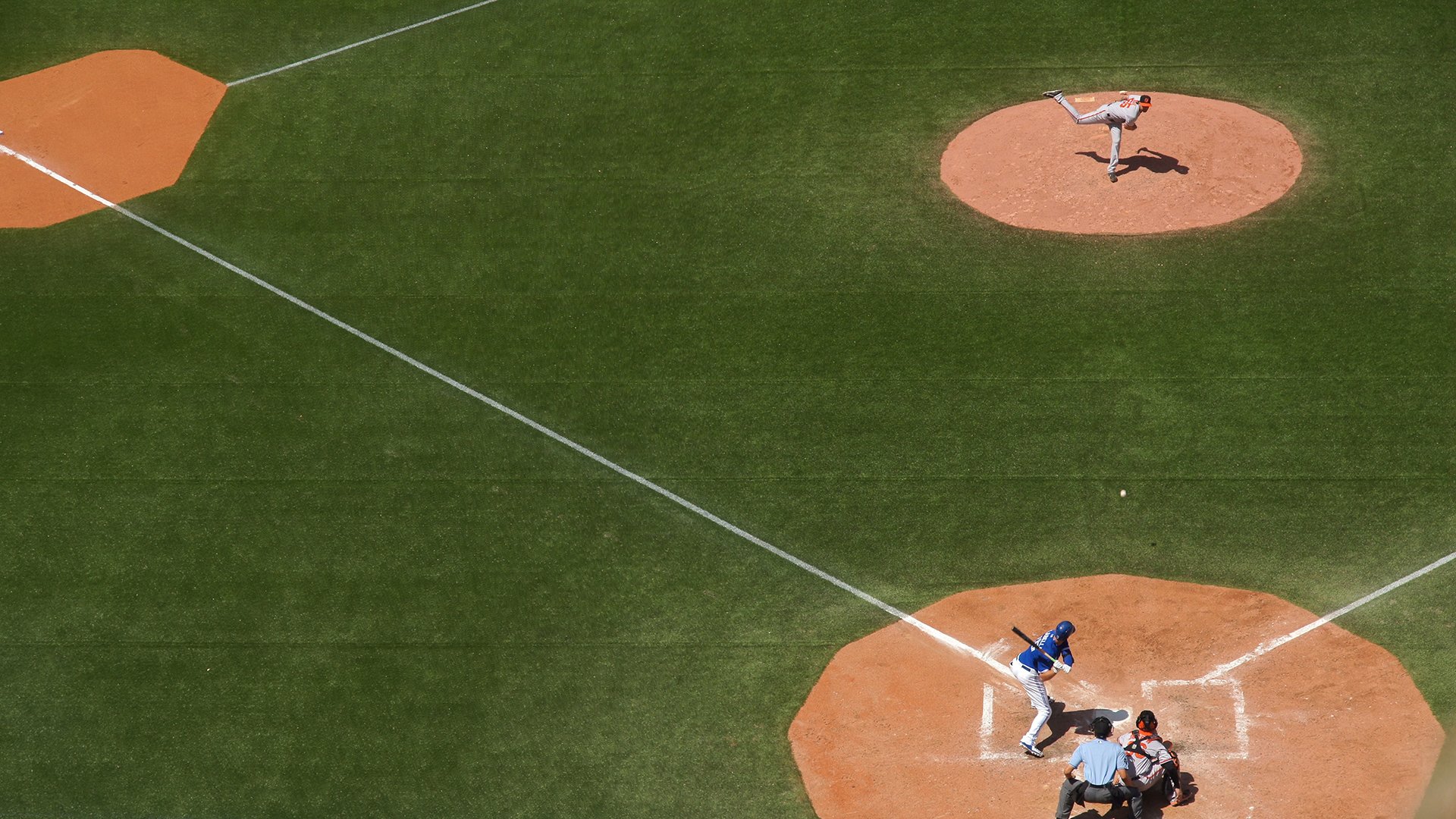马术运动在青少年中普及率提升，专业考级体系已逐步国际接轨。